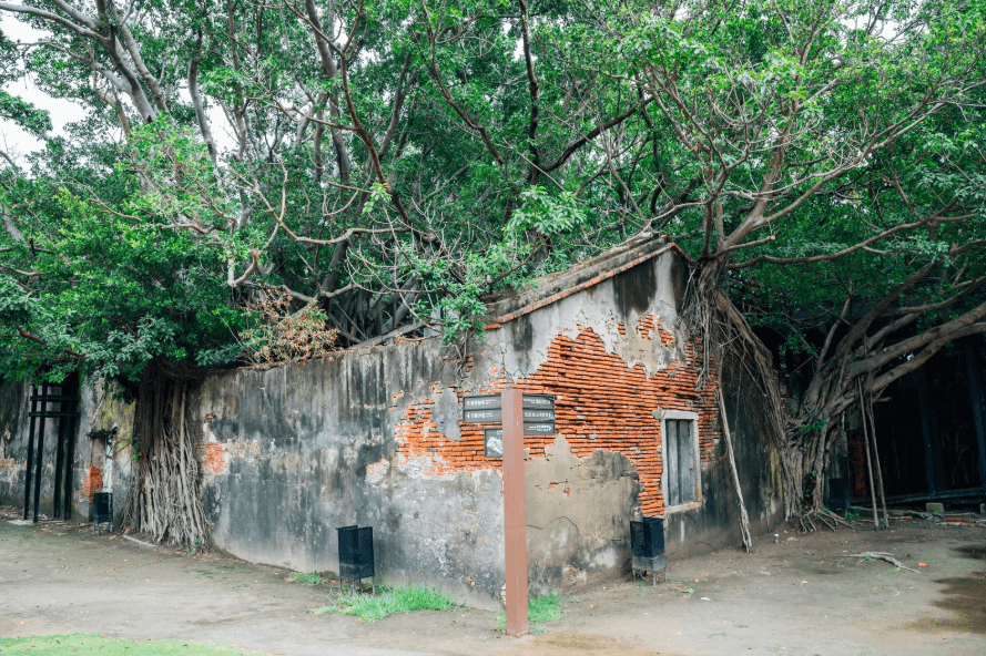 Day 10: Anping Tree House × Taiwan History Museum × Fengjia Night Market