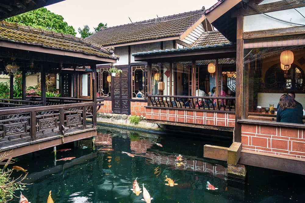 Day 13: Little Yunnan Culture × Longgang Tea Experience & Farewell Gathering