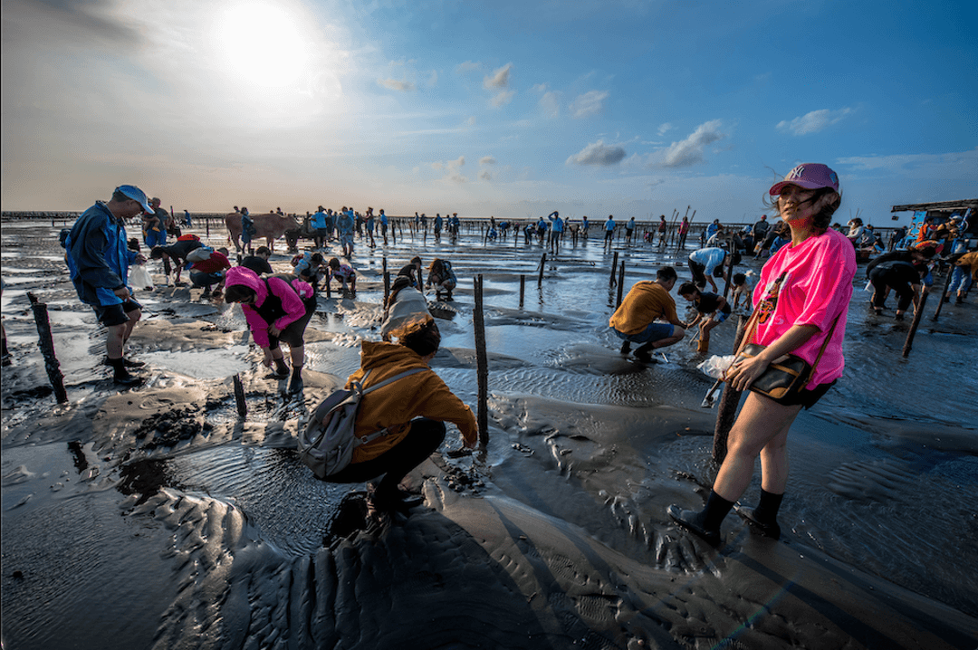 Day 7: Fangyuan Coastal Wetlands × Puli Handmade Paper Culture
