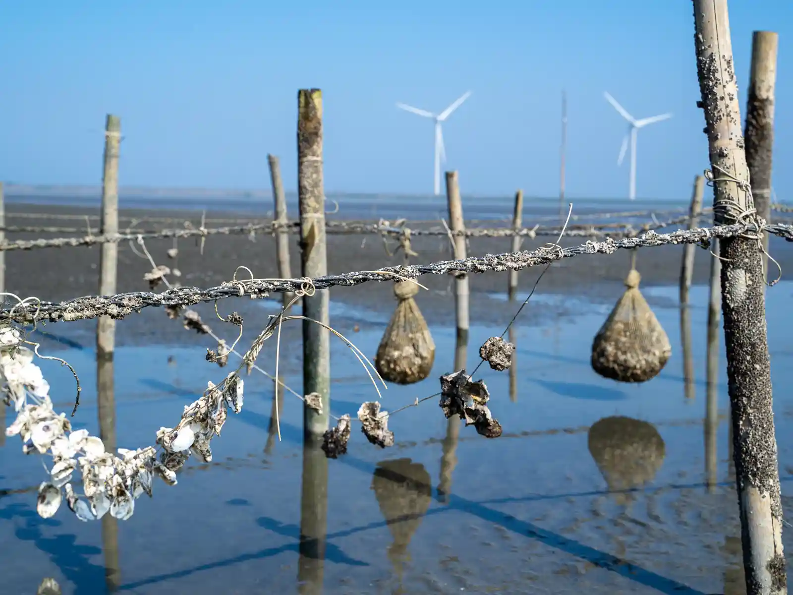 Day 7: Fangyuan Coastal Wetlands × Puli Handmade Paper Culture
