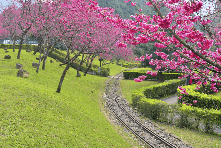 Day 8: Sun Moon Lake Cycling Trail × Ropeway & Aboriginal Culture Village