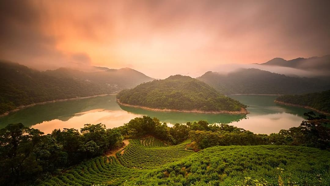 Day 9: Taiping Sky Bridge, Tea Mountains & Tainan Shennong Street