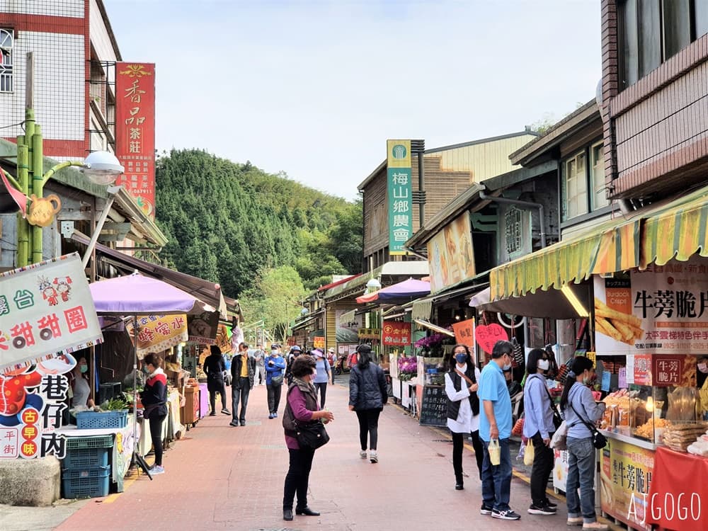 Day 9: Taiping Sky Bridge, Tea Mountains & Tainan Shennong Street